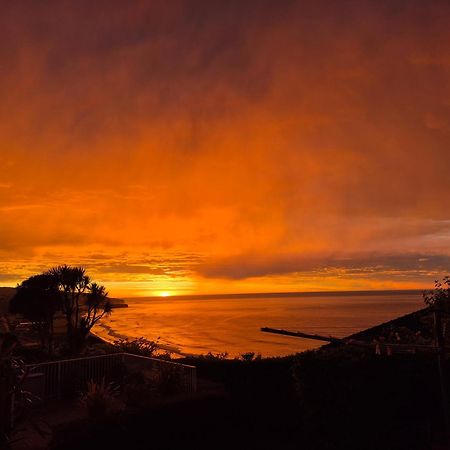 Rosemount B&B By The Sea St Clair Ντούνεντιν Εξωτερικό φωτογραφία