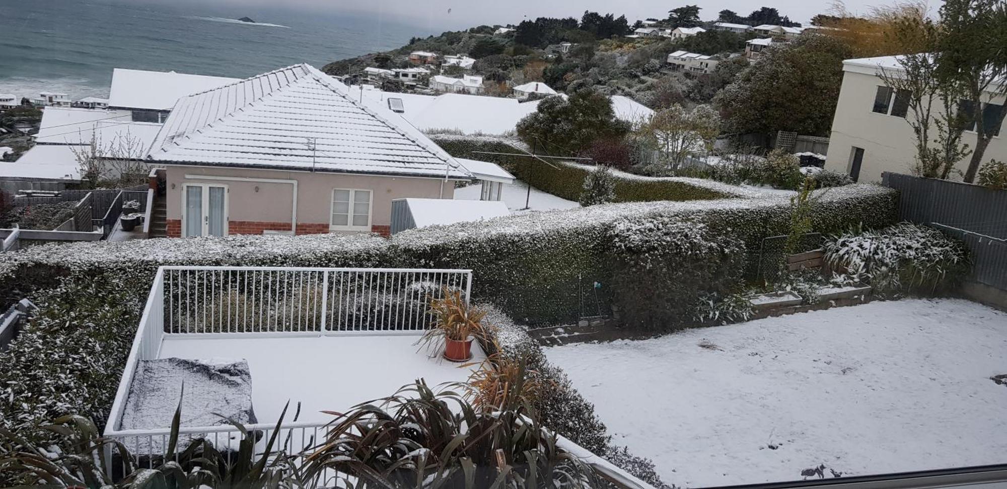 Rosemount B&B By The Sea St Clair Ντούνεντιν Εξωτερικό φωτογραφία