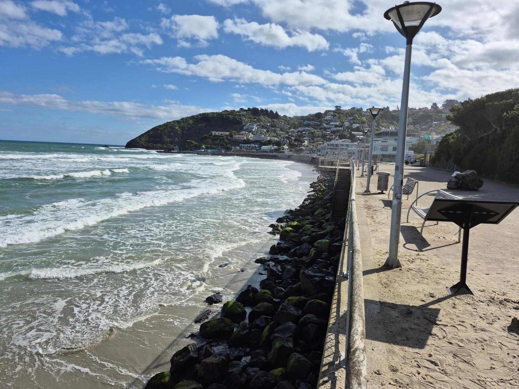 Rosemount B&B By The Sea St Clair Ντούνεντιν Εξωτερικό φωτογραφία