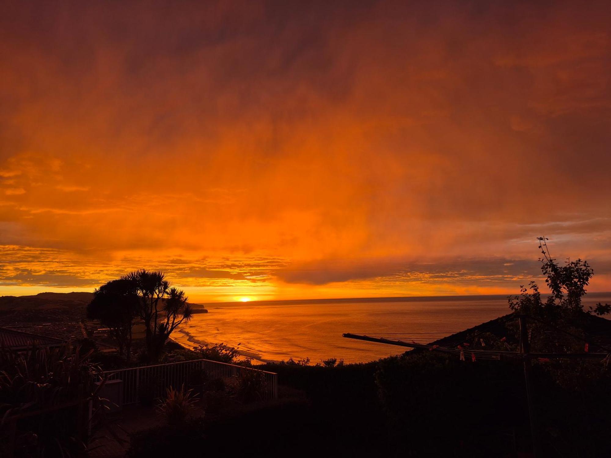 Rosemount B&B By The Sea St Clair Ντούνεντιν Εξωτερικό φωτογραφία